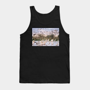 Great White Pelicans Tank Top